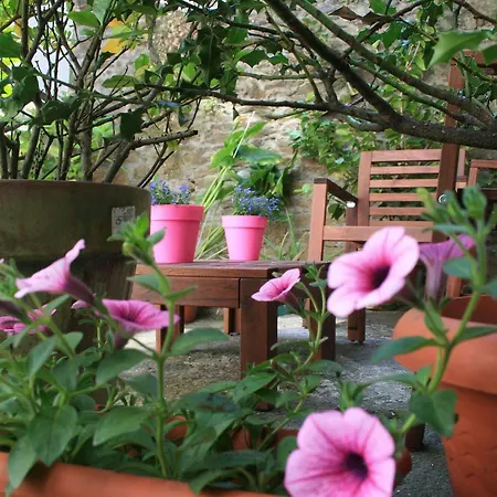 Real * סנטיאגו דה קומפוסטלה